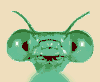 Smiling insect