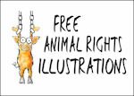 Animal rights painting, prints, posters.