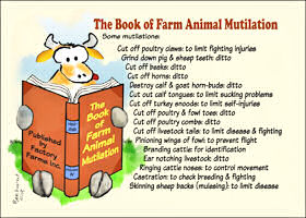 Farm animal mutilation