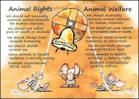 Animal rights and welfare
