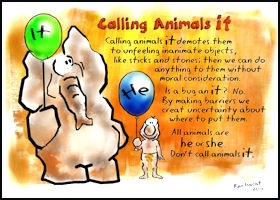 Don't call animals IT