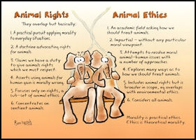 animal rights ethics