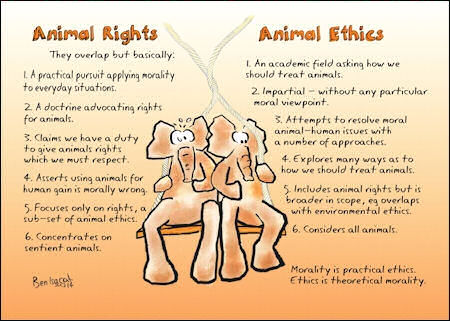 Compare animal rights and ethics
