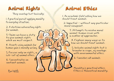 Comparing animal rights and ethics