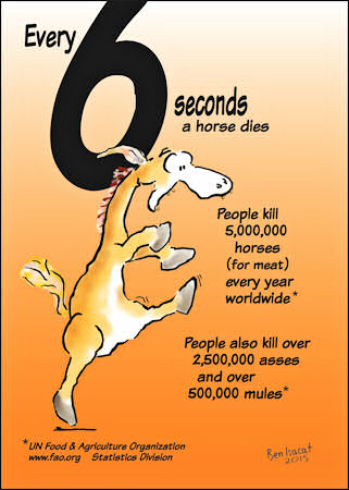 How many horses slaughtered?