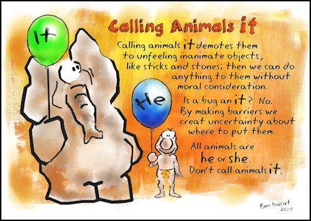 Don't call animals it