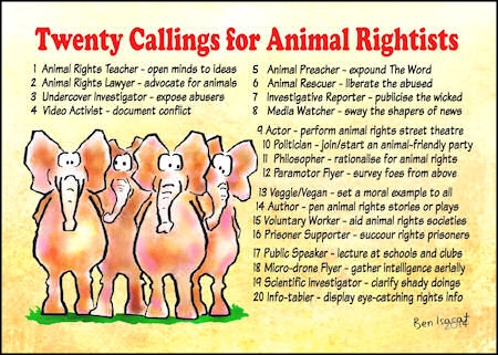 Be an activist for animal rights