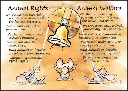 Compare animal rights with animal welfare