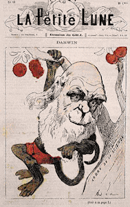 Darwin portrayed as a monkey in La Petite Lune magazine.
