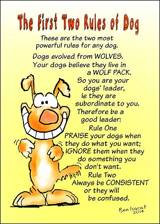The first two rules for dogs
