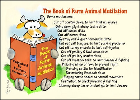 Mutilation Farm Animals