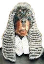Animal lawyer