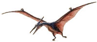 Extinct pterosaurs