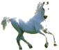 John Lawrence horse