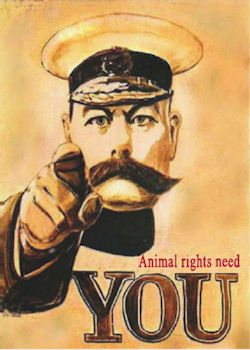 The Lord Kitchener says: Animal rights need you.