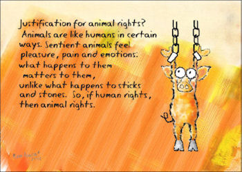 Justification for animal rights?