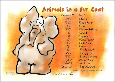 Animals in a fur coat