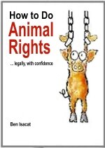 How to Do Animal Rights - paperback