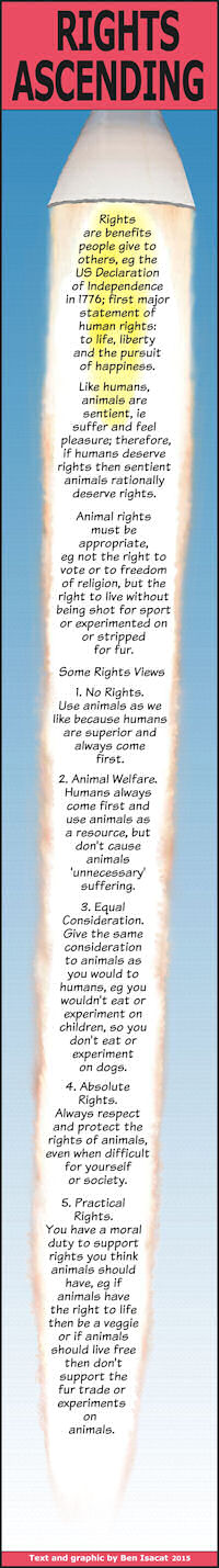 Introduction to Animal Rights - How to Do Animal Rights Practical Activism