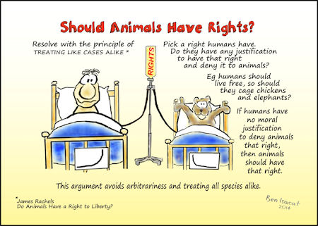 Should animals have rights?