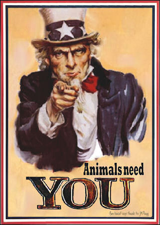 Uncle Sam needs you!