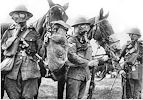War horses, from Wikimedia Commons